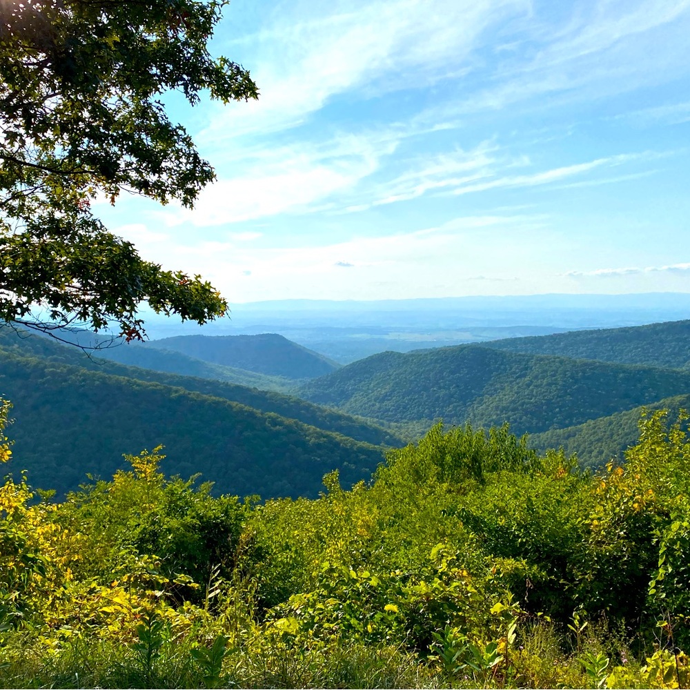 Meet your Posher, Gabe